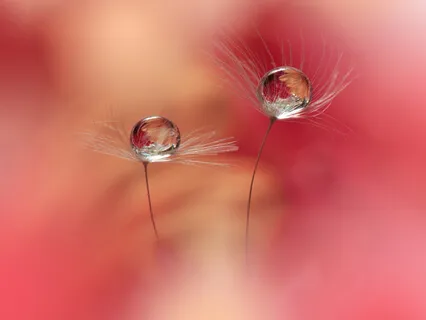 Loving All Of Yourself