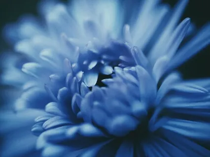 Loving And Accepting Others