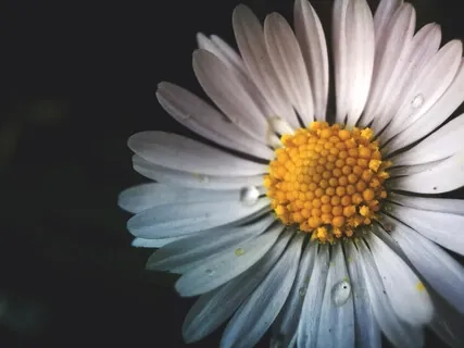 Loving And Caring For Yourself