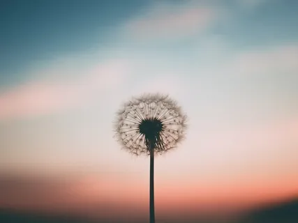 Loving & Healing Your Body