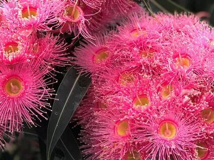 Loving Awareness For The World