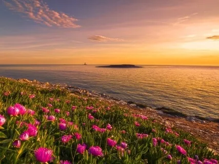 Loving Awareness Meditation