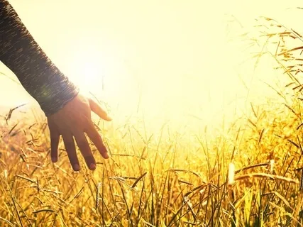 Loving Body Scan With Prayer For Peace In Israel