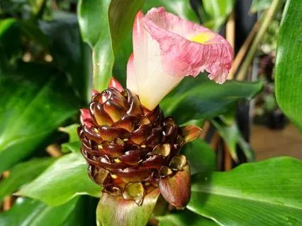 Loving Connection With Our Belly