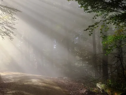 Instant Change: Allow The Old To Leave