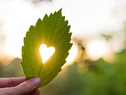 Loving Forgiveness & Ho’oponopono