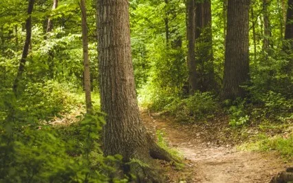 Loving Heart - Magical Meditation