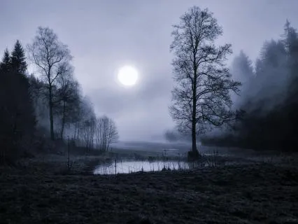 Loving Journey Into Sleep