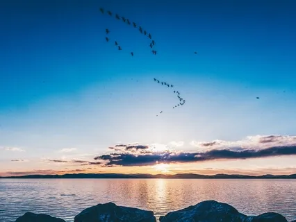 Loving Kindness {Metta} Meditation