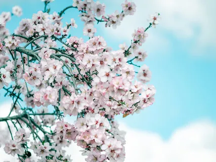 Loving Kindness For Self-Compassion