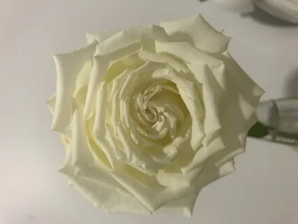 Sending Loving-Kindness To Ourselves & Others