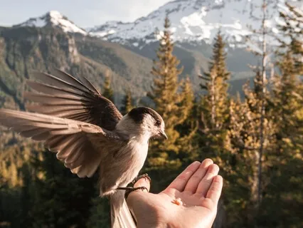 Loving Kindness & Connection