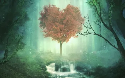 Loving Kindness & Forgiveness Meditation