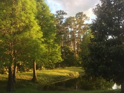 Loving Kindness And Gentle Soothing