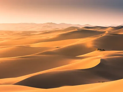 Loving-Kindness (Arabic) المحبة اللطيفة