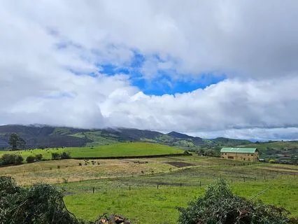 Loving-Kindness - Asking For A Friend