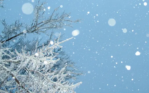 Loving Kindness At Christmas