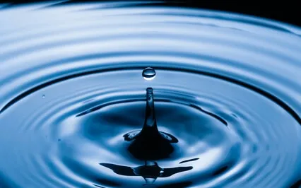 Loving Kindness At Equinox Harmony Time