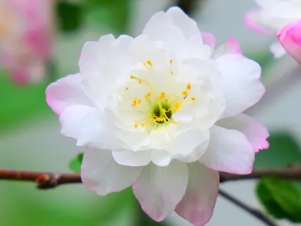 Loving Kindness Break