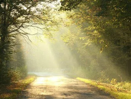 Loving Kindness & Comfort