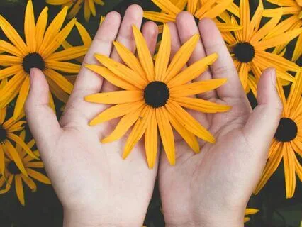 Find Joy & Move Through Life With Ease