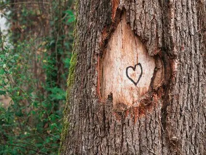 Loving Kindness Exercise