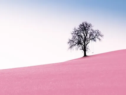 Loving Kindness For A Calm Mind & A Warm Heart