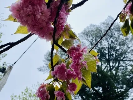 Loving Kindness For A Loved One