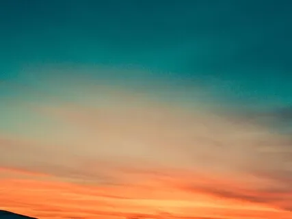 Loving Kindness For Beginners