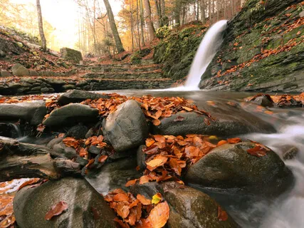 Loving Kindness For Oneself