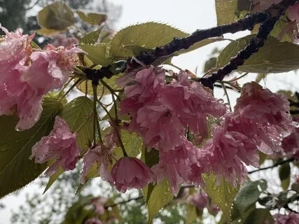 Loving Kindness For Ourselves