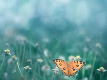 Loving Kindness For Ourselves
