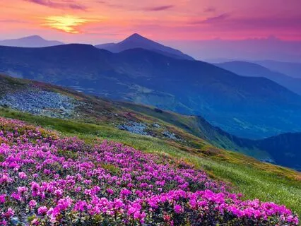 Loving Kindness For Women Experiencing Stress Or Burnout