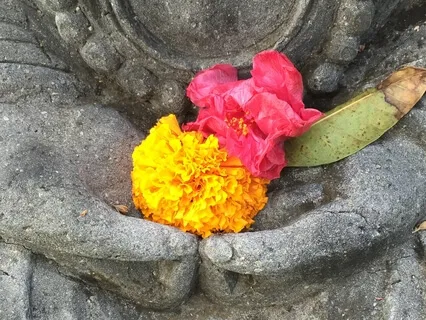 Loving Kindness For Yourself & Others