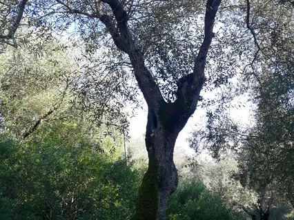 Loving Kindness For Yourself And Others