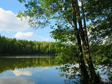 Loving Kindness - Goodwill To Yourself And Others