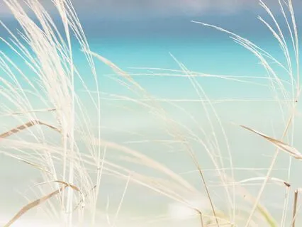 Metta Meditation: Cultivate Joy