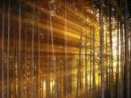 Loving Kindness For Yourself & Others 