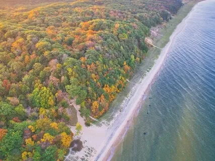 Loving Kindness Meditation