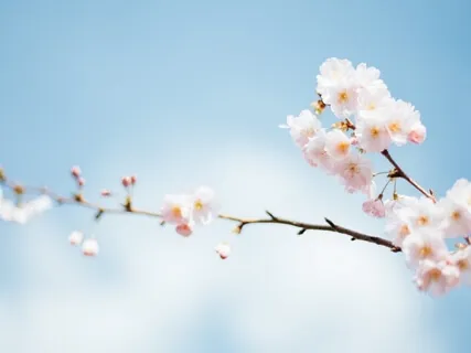 Cultivate Compassion For The Self & Others