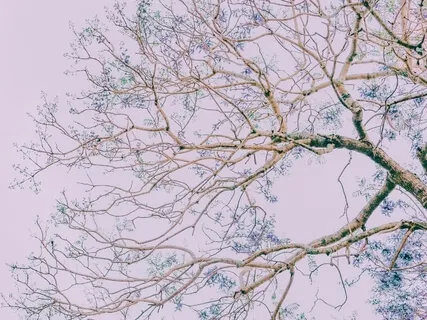 Loving-Kindness For Forgiveness, Healing & Compassion