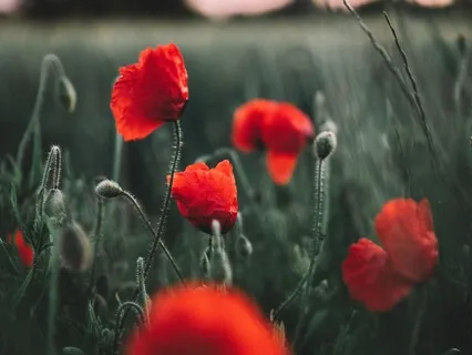 Cultivate Empathy & Compassion