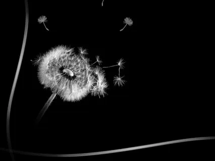 Send Loving Kindness To People You Love