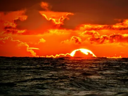 Softening Into Loving-Kindness  