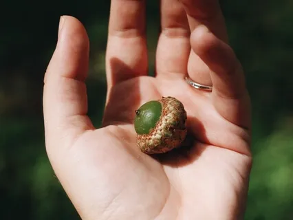 Loving Kindness For Stress Relief & Wellbeing