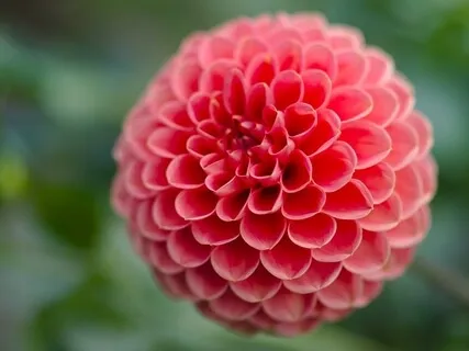 Loving Kindness Practice