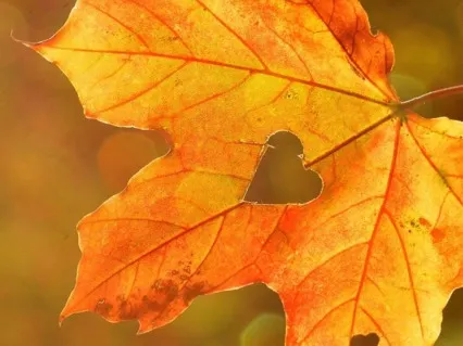 Loving-Kindness Meditation For Compassionate Connection To All Beings