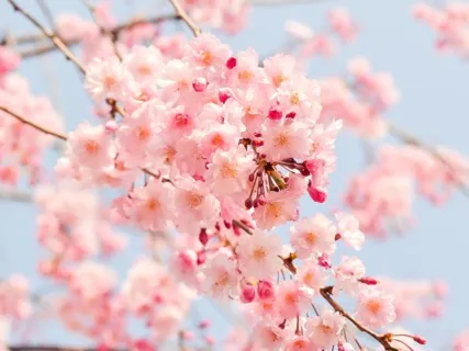 Loving Kindness Meditation