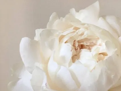 Loving Kindness Meditation