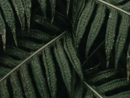 Loving Kindness Meditation